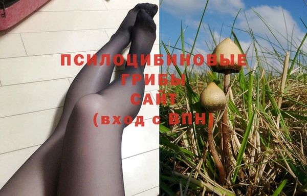 таблы Заводоуковск